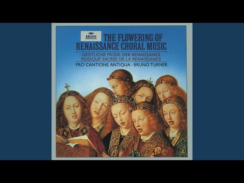 Dunstaple: Motets: Salve Regina