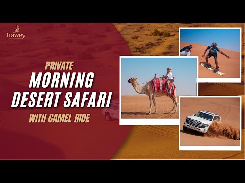 Private Morning Desert Safari with Camel Ride | Dubai Tour Package Series