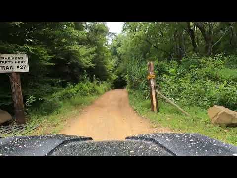 Ride Royal Blue 2024 trail 27