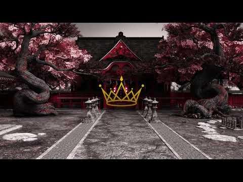 Killa Fonic x RAVA - Budokai (stefanutz REMIX)