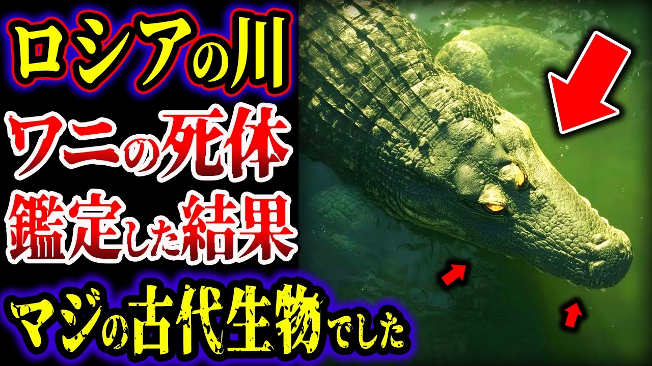 【ゆっくり解説】ロシアで発見された謎の怪物ワニの遺体…専門家が鑑定した結果、本物の古代生物だと判明…正体がヤバすぎる…!!!【古代生物】