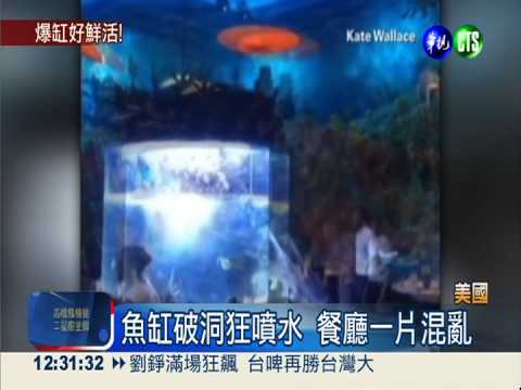 餐廳水族箱突爆裂 "活魚"加菜?!