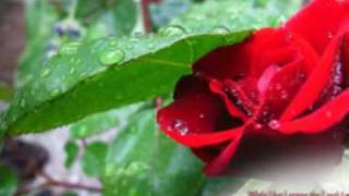 Reggae Worship - Awesome God