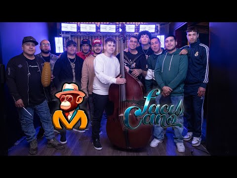 MERECUMBÉ ft FACU CANO | SESIÓN 2  🐒