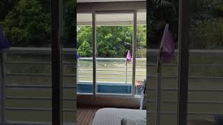 Sundarban tour | Coastal cruise | from room view #travel #Coastal_cruise #sundarban