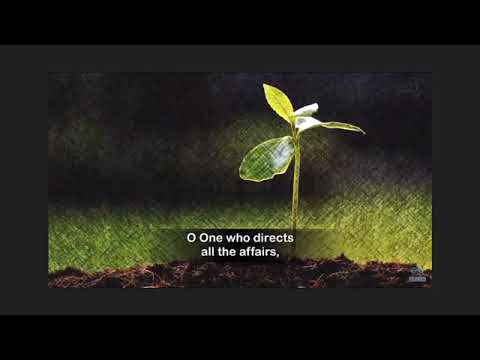 Dua Faraj (Dua Huja)Ahlulbayt|Recommended Duas