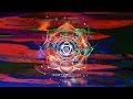 Light Me On Fire - ft. MC Xander | Dub Fx | Theory ...