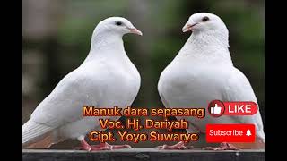 Download lagu Tarling Lawas 'Manuk Dara Sepasang' mp3