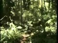 The Rolling Stones(Gimme Shelter)-Vietnam War ...