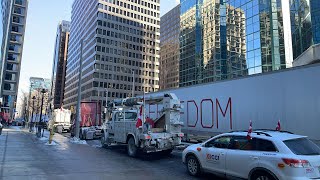 Canadá Trucker Freedom Comboy Domingo 30 2022 Ao Vivo<span class=