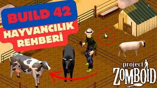 🐄 Project Zomboid Build 42 Hayvancılık Rehberi – En İyi Çiftlik Lokasyonları! 🌾 