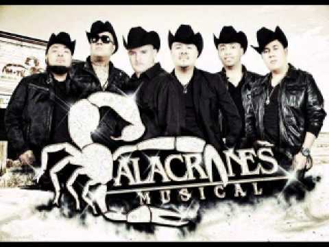Alacranes Musical-Sin Recompensa Ni Esperanza 2013