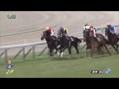 『競馬ライフ』多摩川ステークス/2017/ひでひで競馬