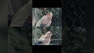 Download lagu Pergilah kasih cover by aviwkila.....STATUS IG/WA SEDERHANA mp3