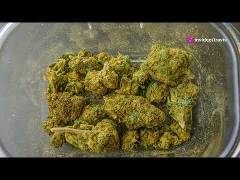 Durban Poison: Africa's Bomb Strain 💣 #DurbanPoison #LegendaryCannabis #AfricanStrains #SativaPower