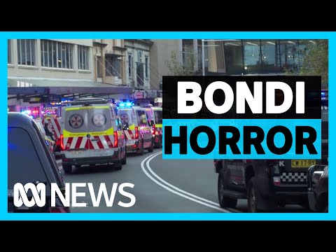 澳洲雪梨商場發生隨機殺人案，造成6死、多人受傷 (Shock, terror as multiple killed in Bondi Junction stabbing attack | ABC News)