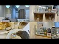 Quick Eats For Busy People Mini Vlog Mellyn