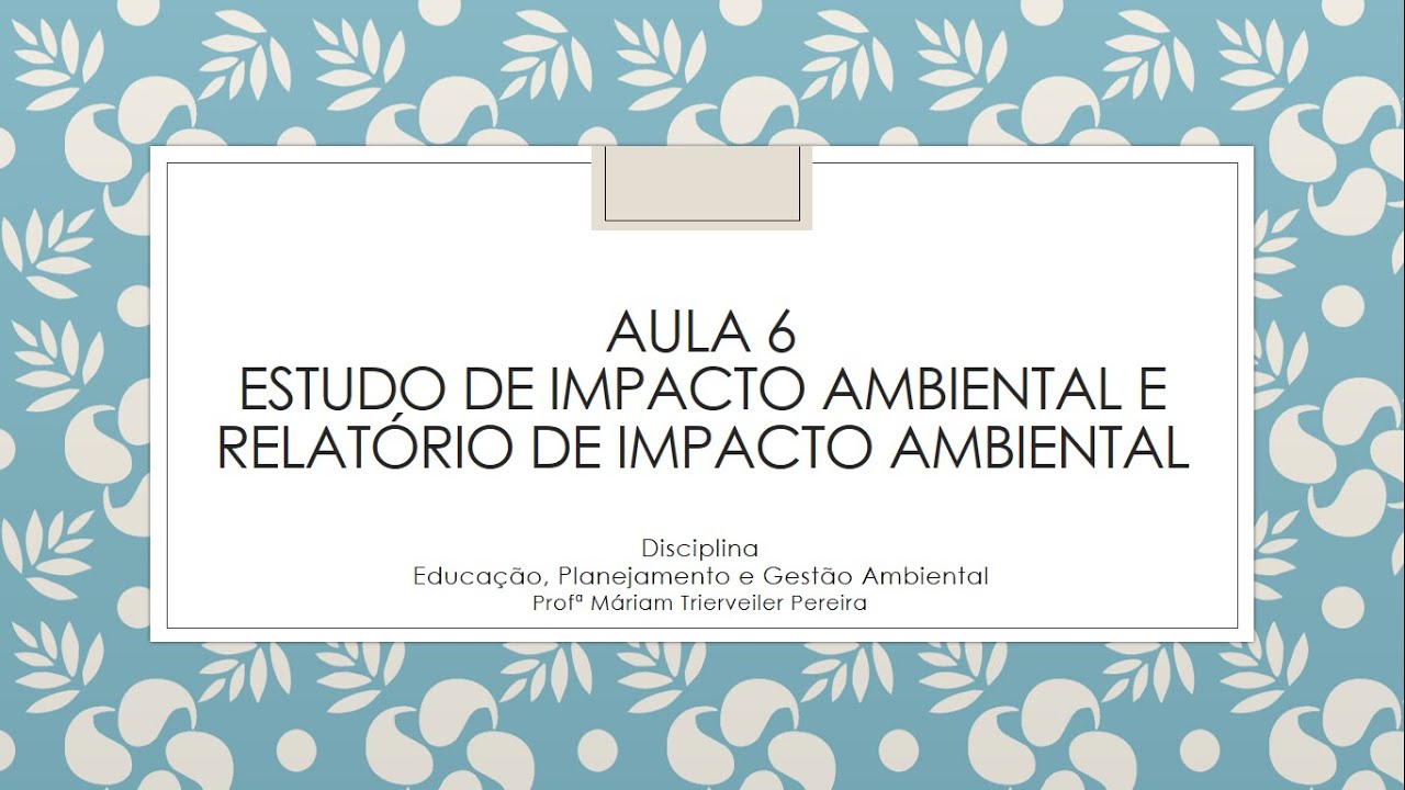 Aula 6 - Estudo e Relatório de Impacto Ambiental
