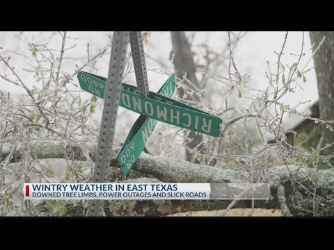 Wintry weather brings power outages, downed trees in East Texas