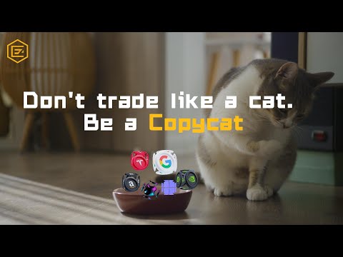 Be a Copycat | EzTrade Copy Trading