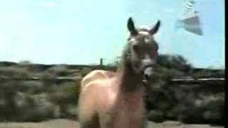 Antonio Aguilar.     El as de oros