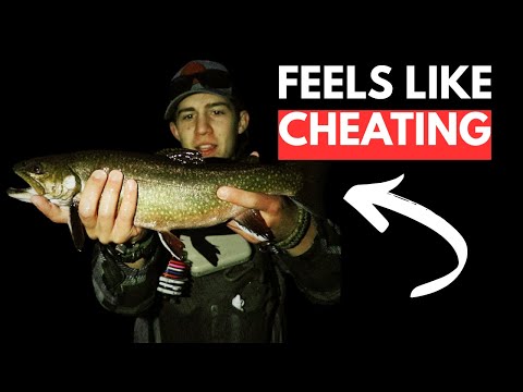 The Killer Bug: Makes Fly Fishing Look EASY