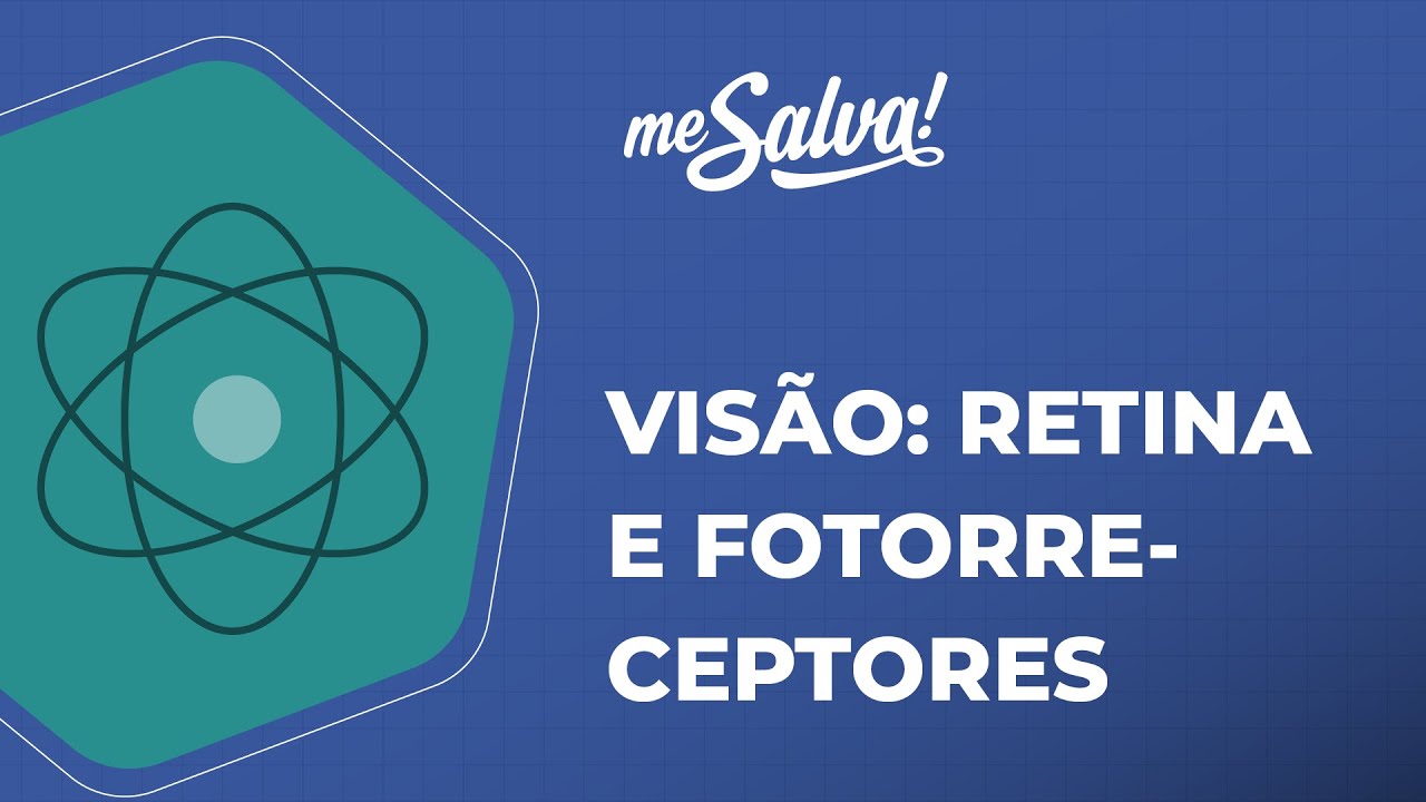 Visão – Retina e fotorreceptores - Biofísica - Me Salva! Saúde