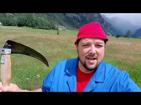 Petutschnig Hons und die Heuernte