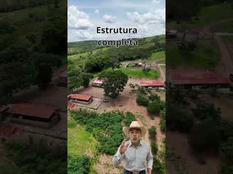 Fazenda com 6 km de Beira de Rio em Alexânia-GO | R$ 16,8 Milhões