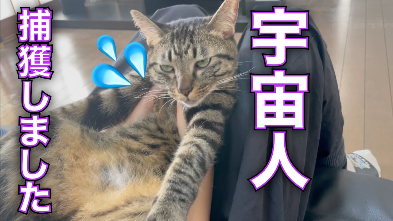 宇宙人(ふくちゃん)を捕獲してしまいました・・・！