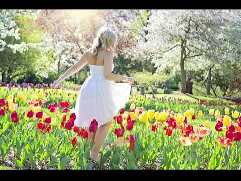 "Stina e dashurisë"- Poezi