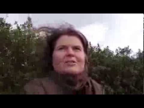 stop resisting the storm and play on the wind instead