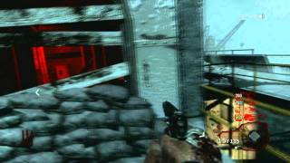 V-R11 Somebody else gets the V-R11 gun Black Ops new Maps DLC2 Call of the Dead