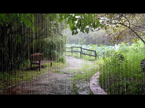 Beruhigende Geräusche von starkem Regen – Heilendes ASMR für emotionale Erholung