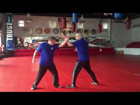 Gao Style Bagua Post Heaven Palm Demo and Application