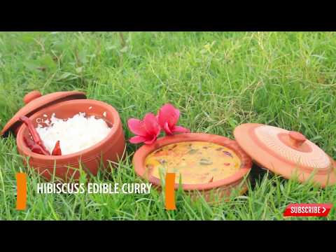 download lagu mp3 mp4 Edible Hibiscus Recipes, download lagu Edible Hibiscus Recipes gratis, unduh video klip Edible Hibiscus Recipes