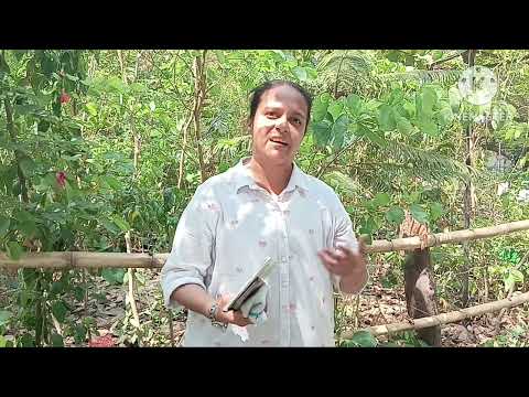 1500 students of 36 institutions participated in Tarumitra Biodiversity Exhibition | DEVOPRIYA DUTTA