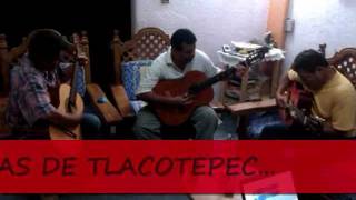 preview picture of video 'TLACOTEPEC  (EL CORRIDO)'