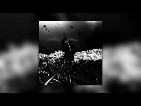 LXNGVX, DJ FKU, SKORDE - PLUS VIBE (Ultra Slowed)