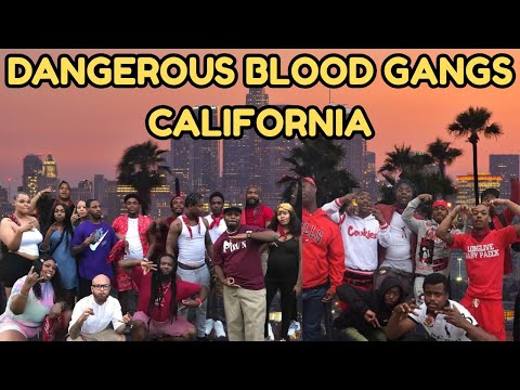 Dangerous Blood Gangs in California: Inside the World of LA’s Most Notorious Blood & Piru Sets