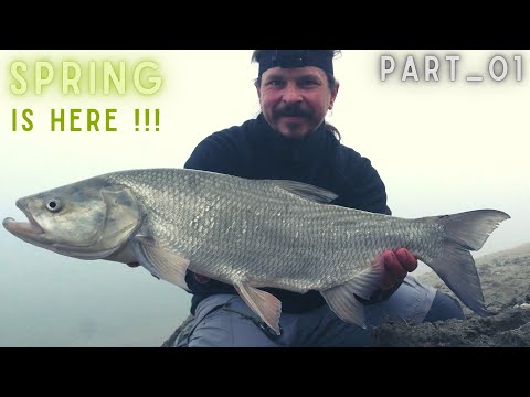 Spinning for ASP in the spring ... some BIG hits!!!  (Part_01)