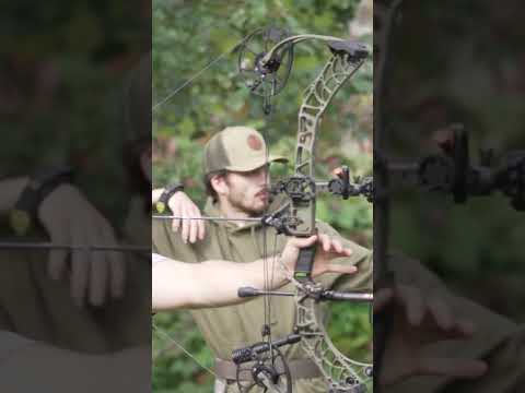 GlenDel Buck lineup and features