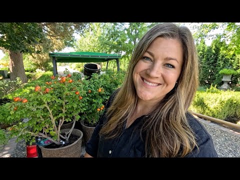 Planting 10 Rugosa Roses! 🌹😍🙌 // Garden Answer
