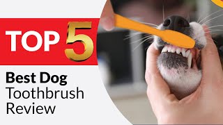 Top 5 Best Dog ToothBrushes Review of 2026 [Tested & Reviewe