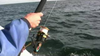 preview picture of video 'Bluefin Tuna Fishing off Gloucester MA in HD'