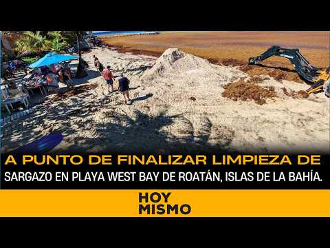 A punto de finalizar limpieza de sargazo en Playa West Bay de Roatán, Islas de la Bahía.