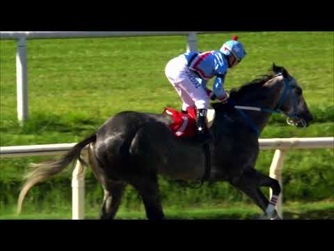 211030 c04 PRINCE LEOPARD