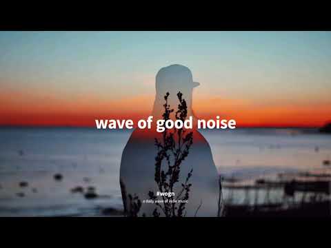 FIELDS - Northern Flower