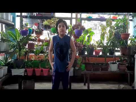 Jared COOLDOWN "Faded"