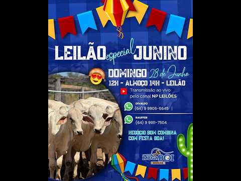 MEGA BOI LEILÕES - BOM JARDIM DE GOIÁS 28/06/2026